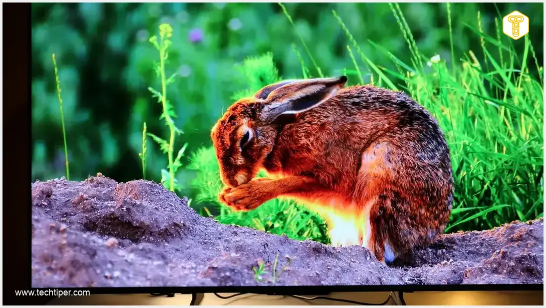 Image showing Haier H55S90GUX QLED TV