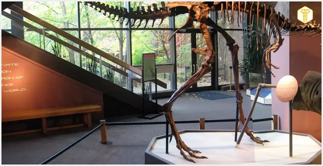 It Took Just 12 Minutes for ‘Jodi’ to Become One of History’s Most Expensive Dinosaurs